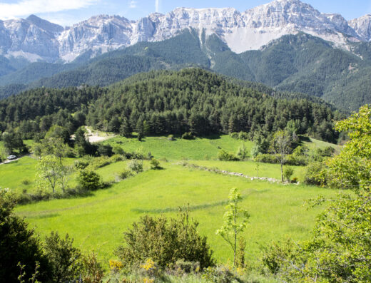 Estana