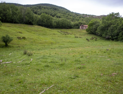 La Borda del Tronc