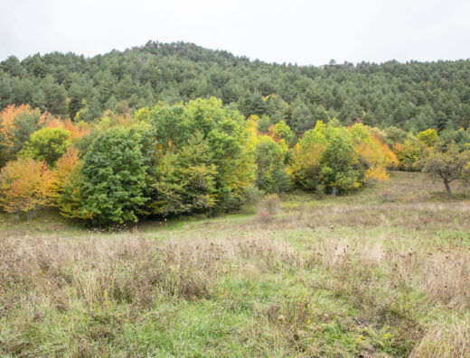 Prat de Baix de la Borda d'Estana