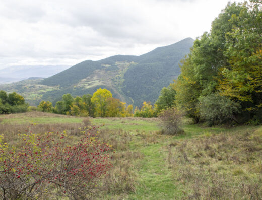 Prat de Dalt de la Borda d'Estana